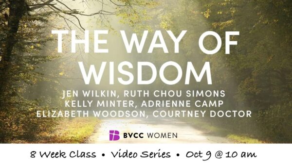 25 10 09 The Way of Wisdom A study of Proverbs