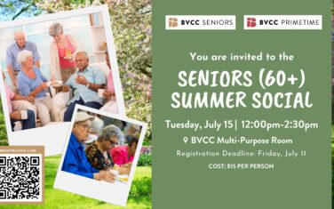 Seniors Summer Social